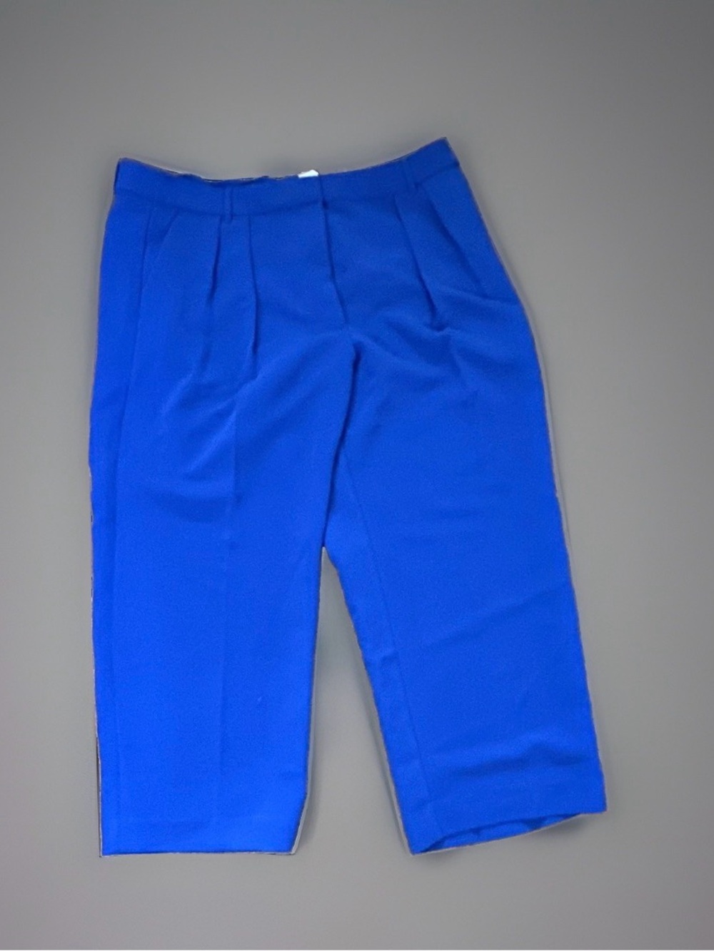 Banana Republic Factory Royal Blue Pleated Wide Leg Dress Pants